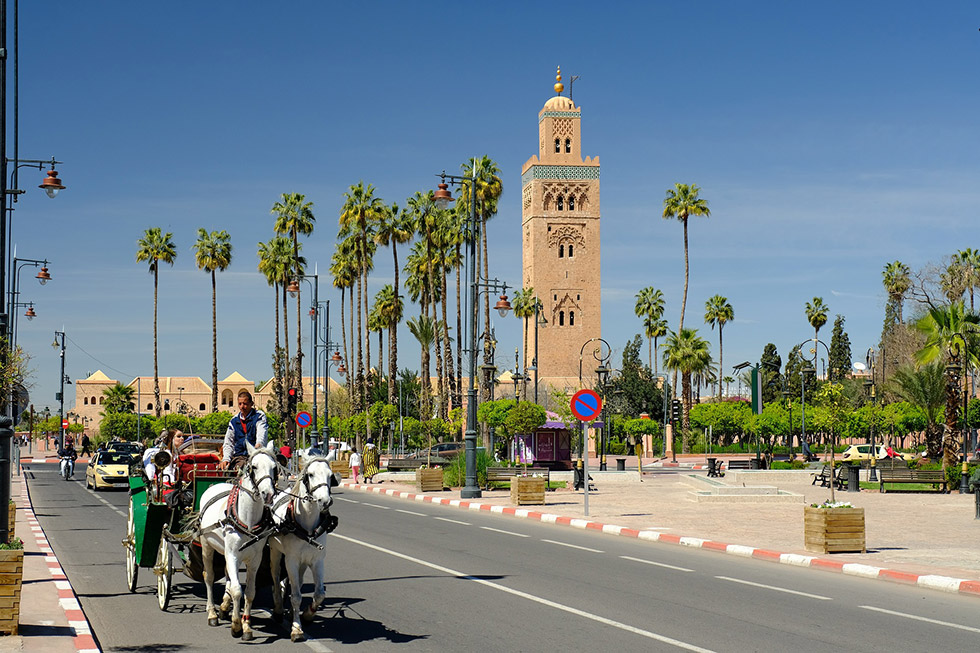 visite caleche marrakech
